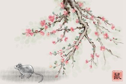老鼠在日常消費中要理性,千萬不要因為有錢就讓自己鋪張浪費