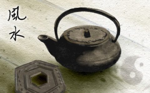 老家種那些樹風水好又旺財 蓬萊松招財轉運長壽吉祥