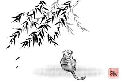 女猴和男兔嗎無法追到老嗎 能在一同嗎（女兔與男猴能結婚嗎好嗎）